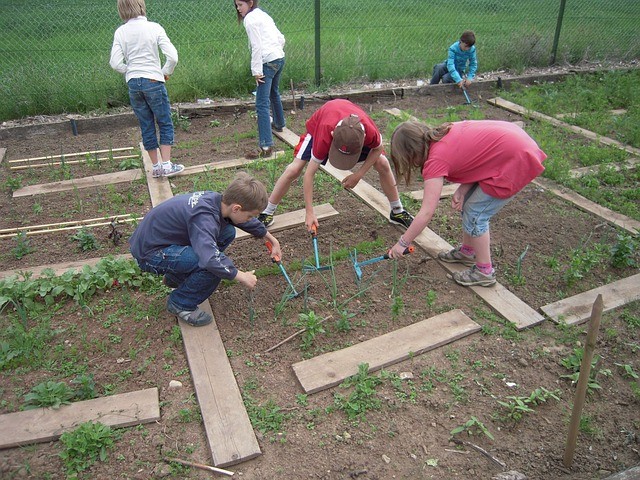 Students help in a community garden.